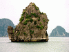 Am Islet